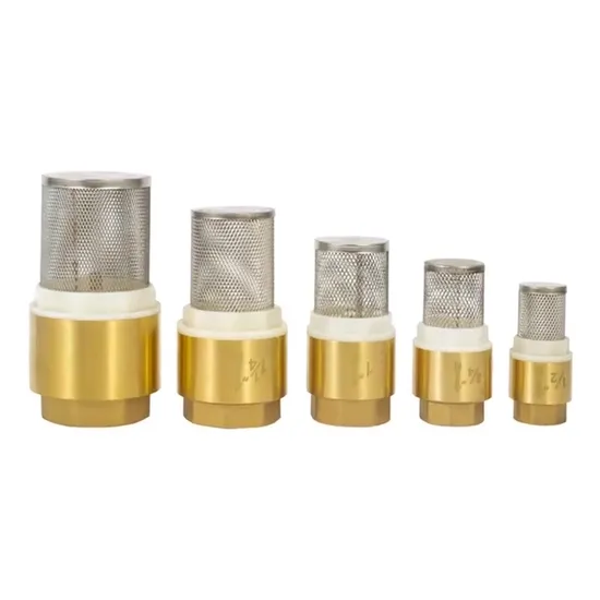 Maintenance-Free Industrial Grade Ball Brass Check Valve for Fuel Oil Pipelines